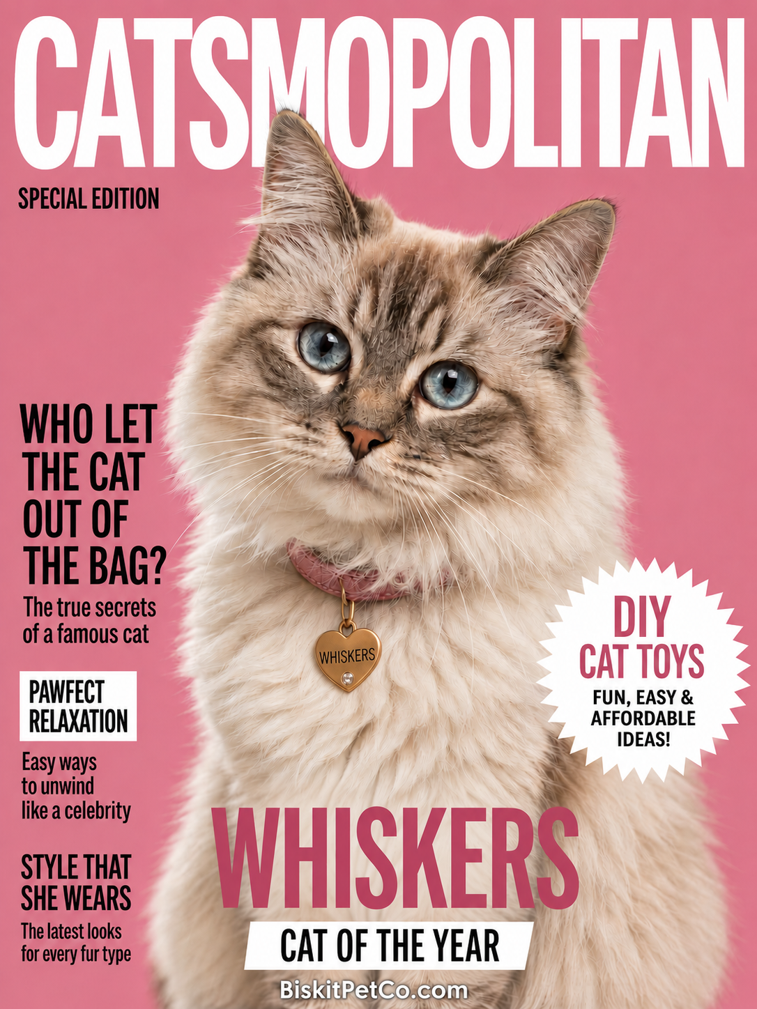 Catsmopolitan