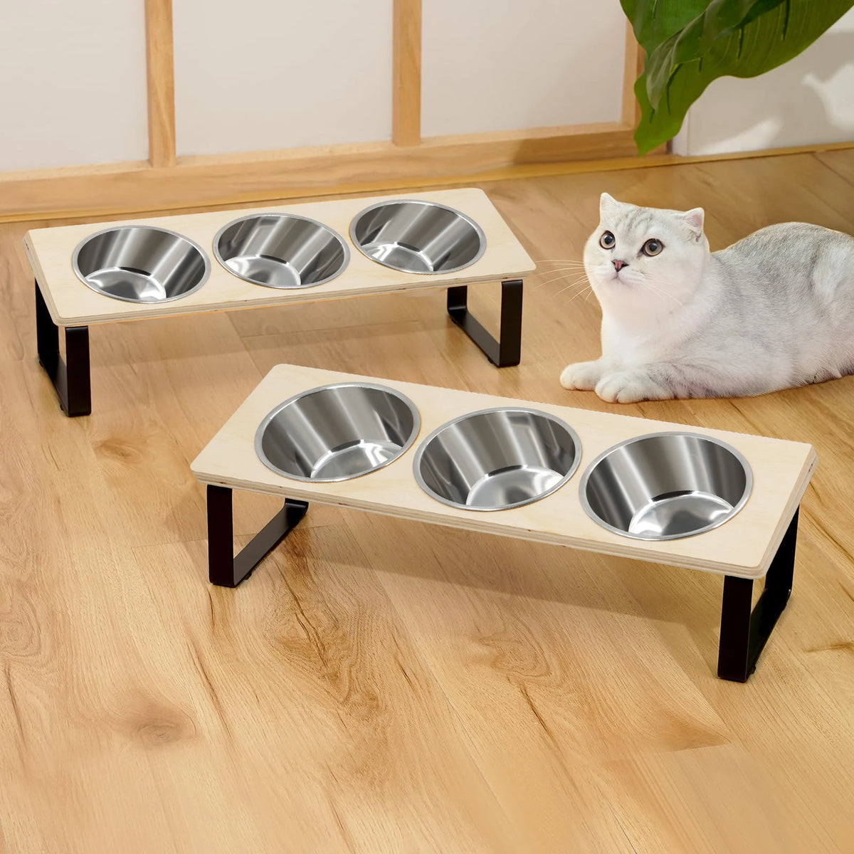Elevated Dog/Cat Bowls with 3 Stainless Steel Bowls 15° Tilted Anti-Vomiting Raised Cat Food Bowl for Small Cats Puppies Accessories