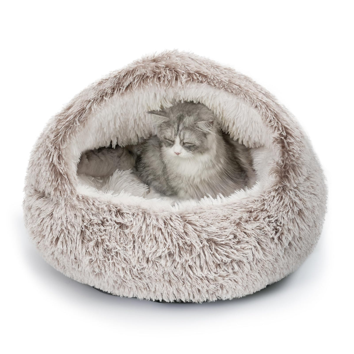 Cat Beds