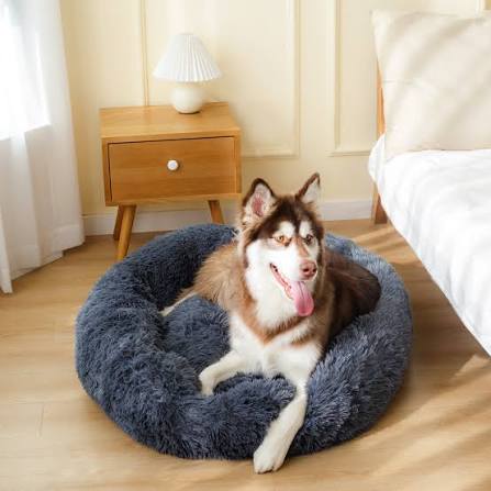 Dog Beds