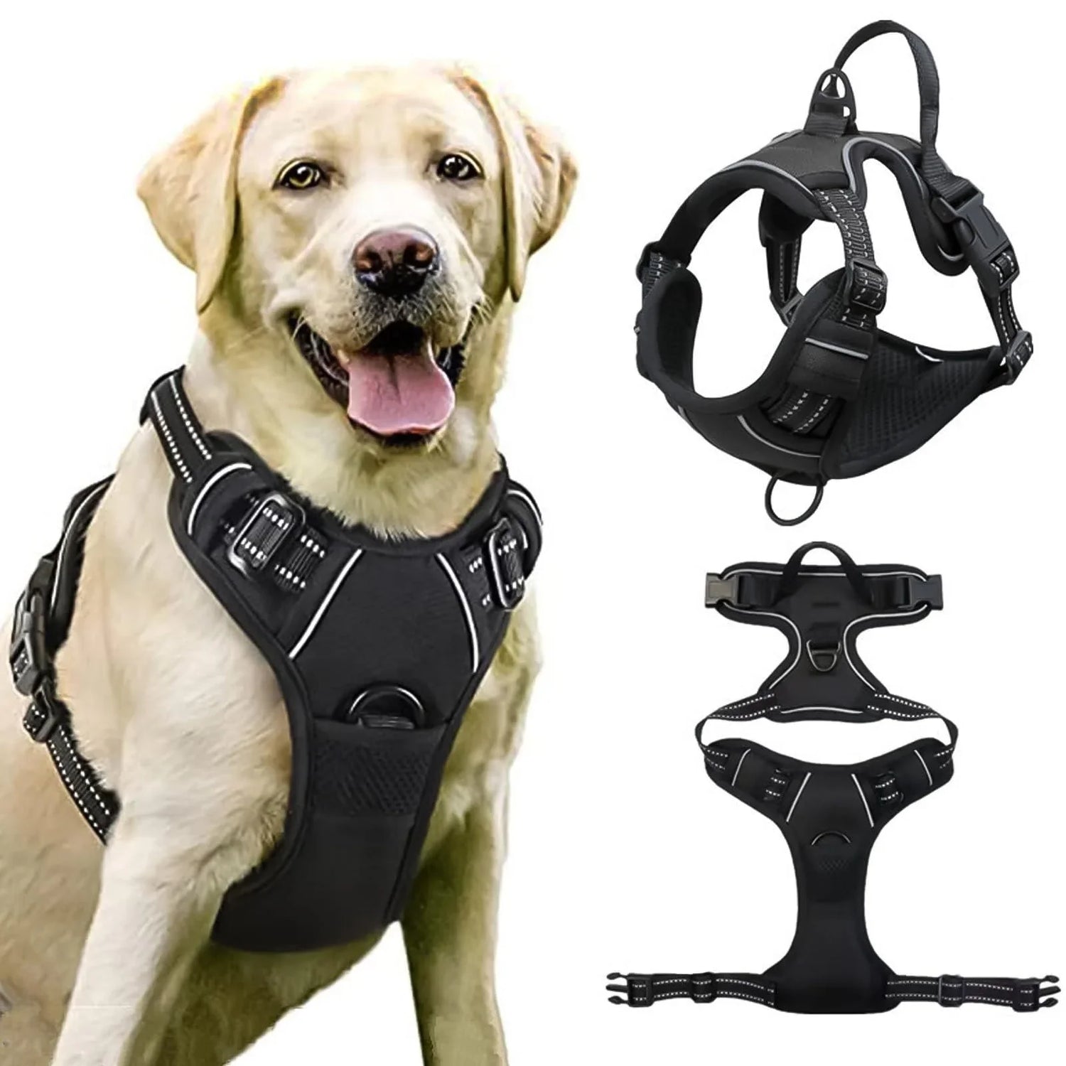 Dog Harnesses