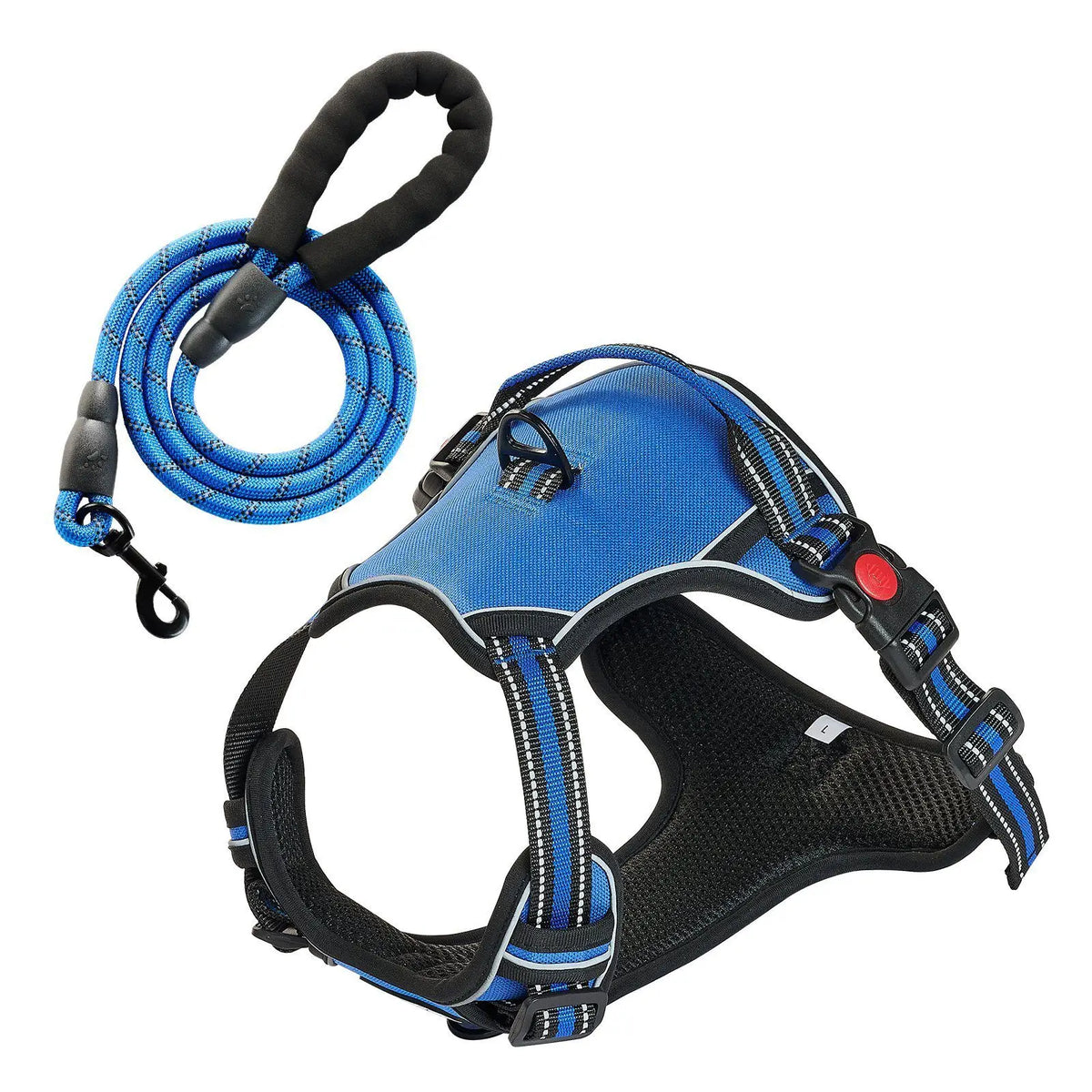 Dog Leashes