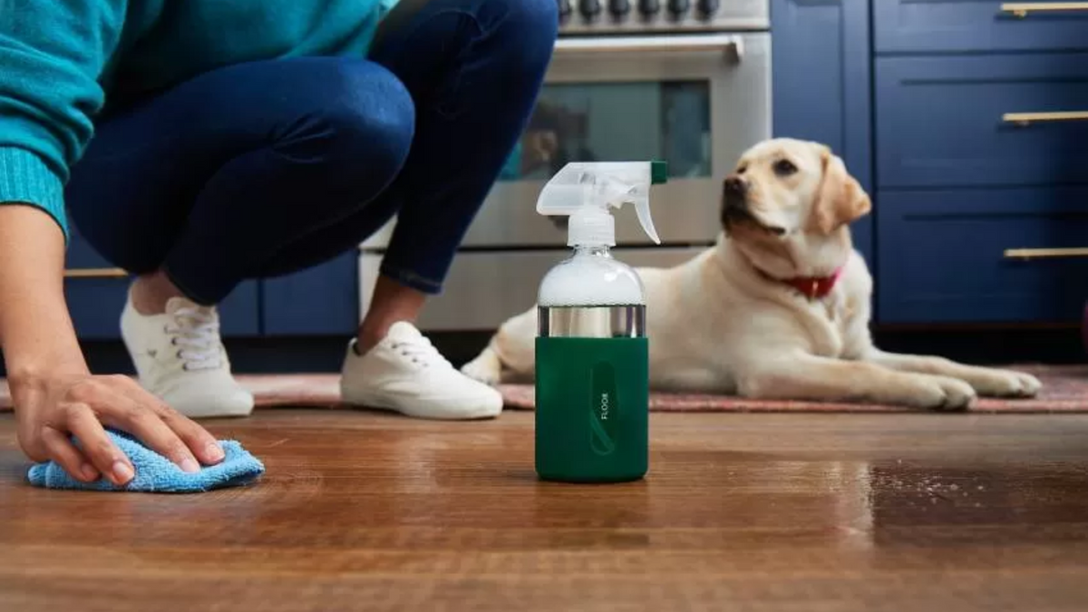 Pet Safe Cleaning Products