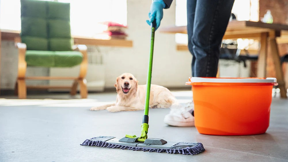Cleaning Supplies
