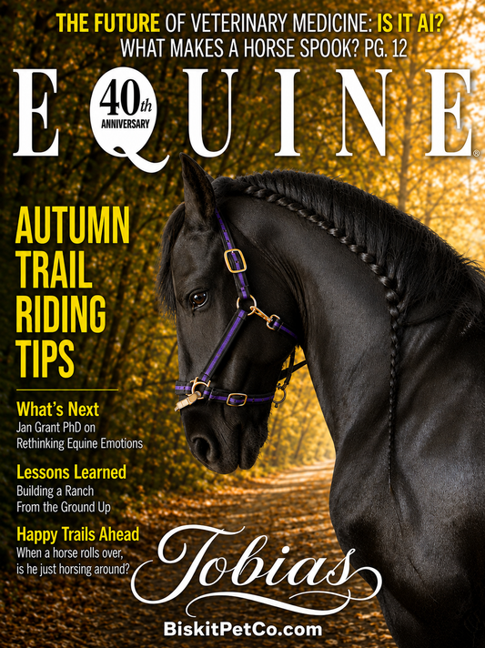 Equine