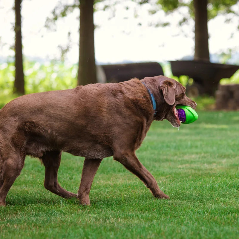 Dog Toys Football for Dogs Floatable Squeaky Hard and Firm Fit for Outdoor Throwing Suitable for Medium to Large Dogs