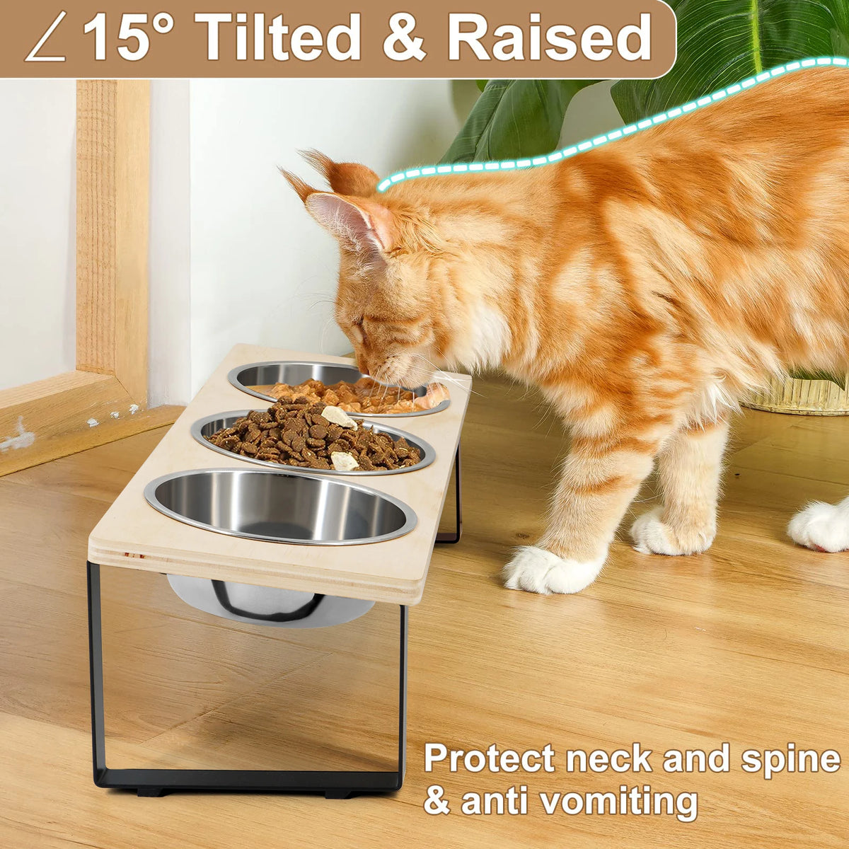 Elevated Dog/Cat Bowls with 3 Stainless Steel Bowls 15° Tilted Anti-Vomiting Raised Cat Food Bowl for Small Cats Puppies Accessories