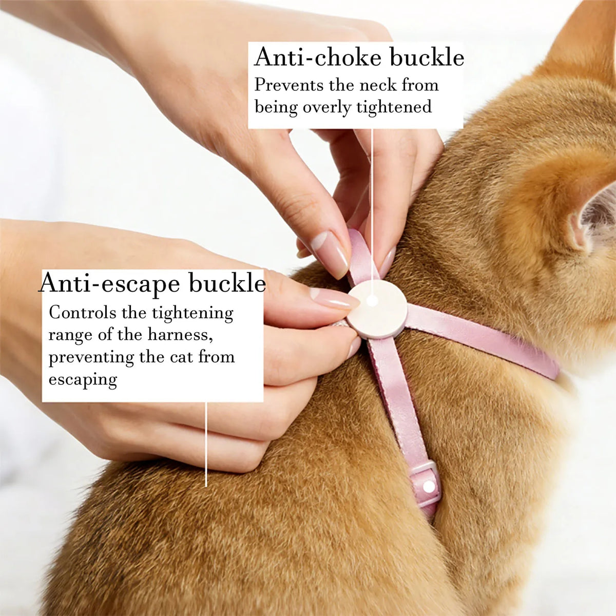 Cat Puppy Outdoor Walking Supplies Fashion Pet Harness and Leash Set for Small Dogs Cats Lightweight Durable Kitten Harnesses