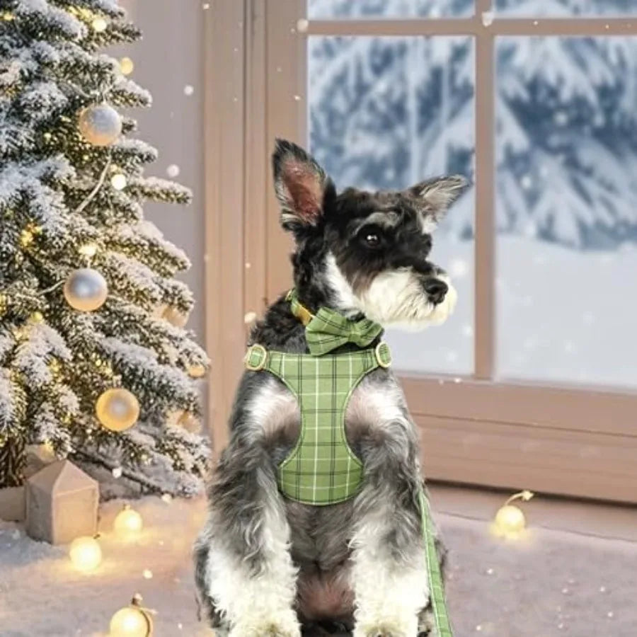 Extra Small Dog Harness Collar and Leash Set with Bowtie, Soft Adjustable Plaid Polyester Harness for Small Dogs and Cats, Red/