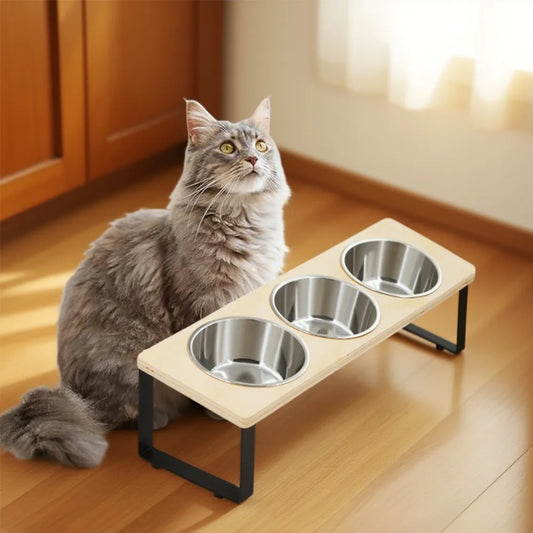 Elevated Dog/Cat Bowls with 3 Stainless Steel Bowls 15° Tilted Anti-Vomiting Raised Cat Food Bowl for Small Cats Puppies Accessories