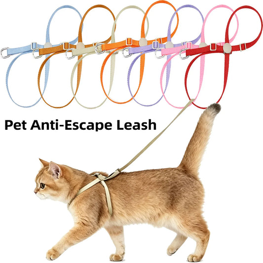 Cat Puppy Outdoor Walking Supplies Fashion Pet Harness and Leash Set for Small Dogs Cats Lightweight Durable Kitten Harnesses