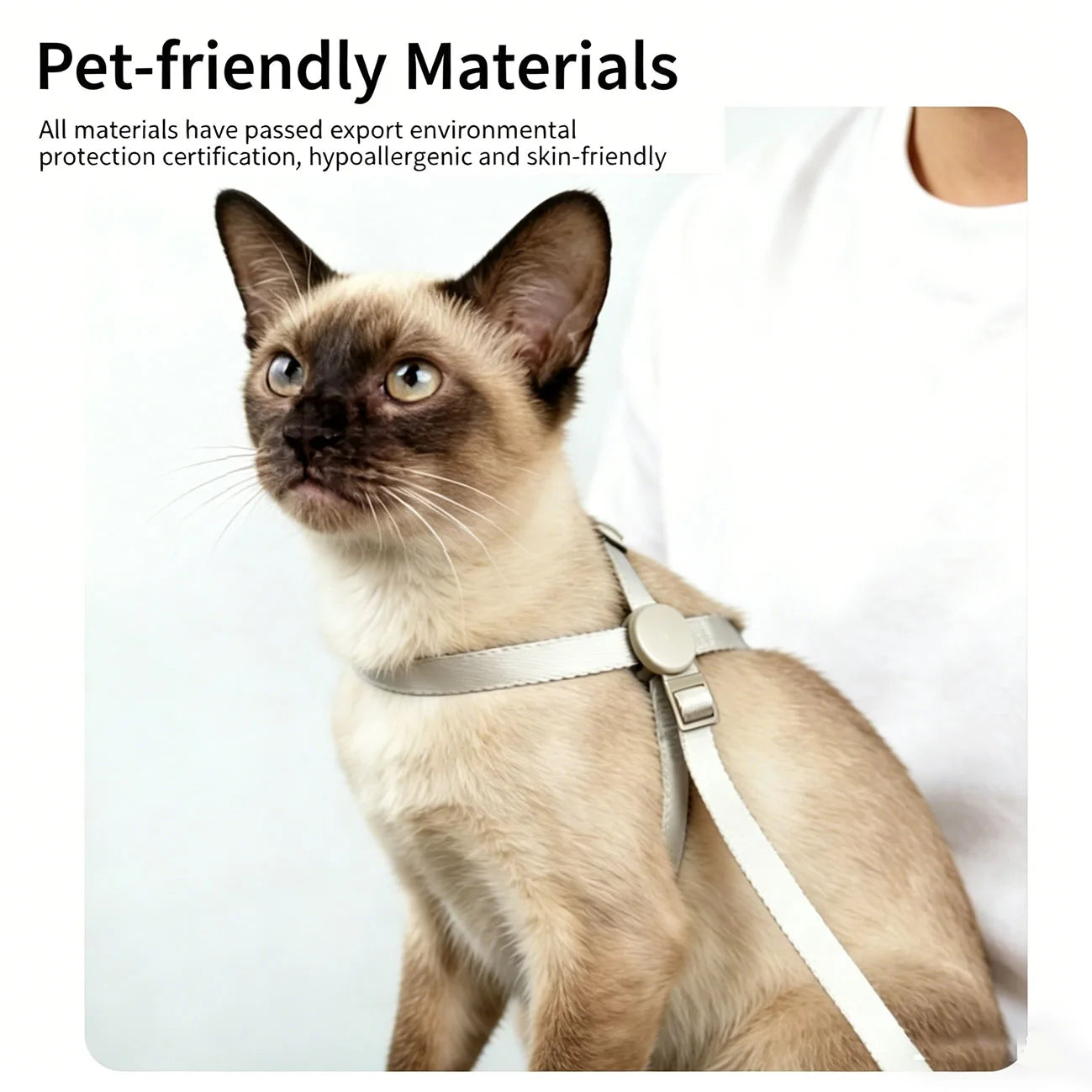 Cat Puppy Outdoor Walking Supplies Fashion Pet Harness and Leash Set for Small Dogs Cats Lightweight Durable Kitten Harnesses