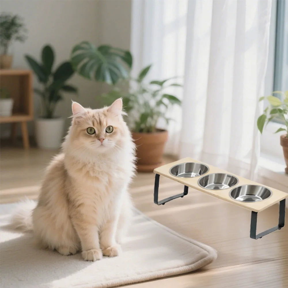 Elevated Dog/Cat Bowls with 3 Stainless Steel Bowls 15° Tilted Anti-Vomiting Raised Cat Food Bowl for Small Cats Puppies Accessories